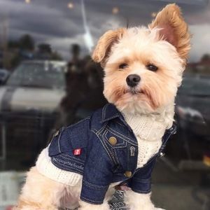 Meet your Posher, Araceli